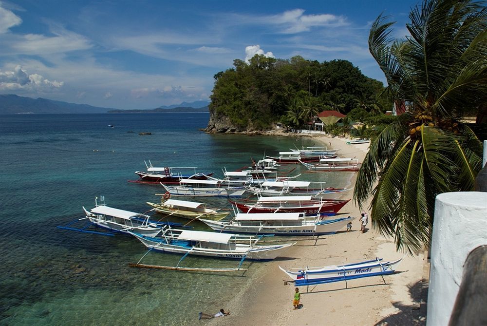 Scandi Divers Puerto Galera Exterior photo